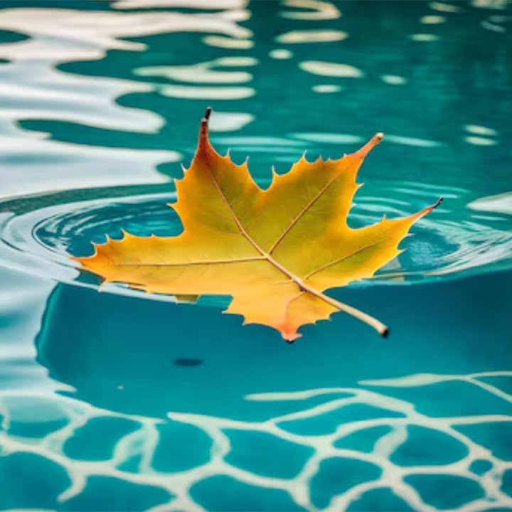 Cuidados Essenciais com a Piscina no Outono