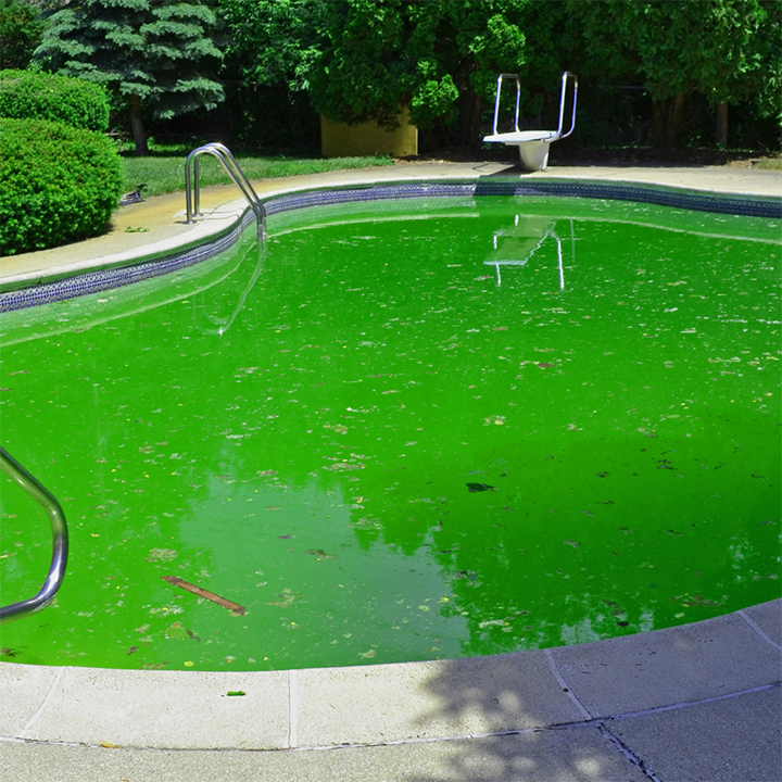 Piscina Verde: Saiba Como Cuidar ou Tratar de Forma Eficiente
